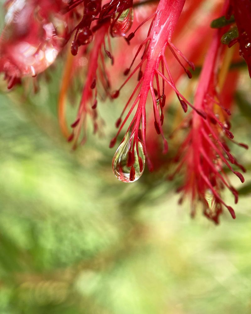 Photograph by Kaori Burt