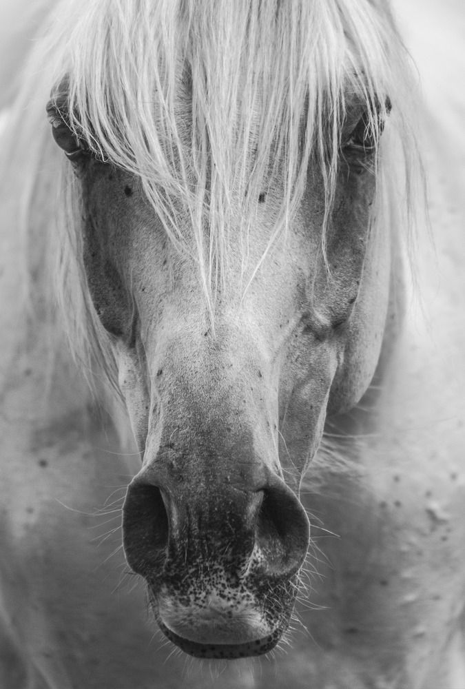 Photograph by Agnieszka Gulczynska