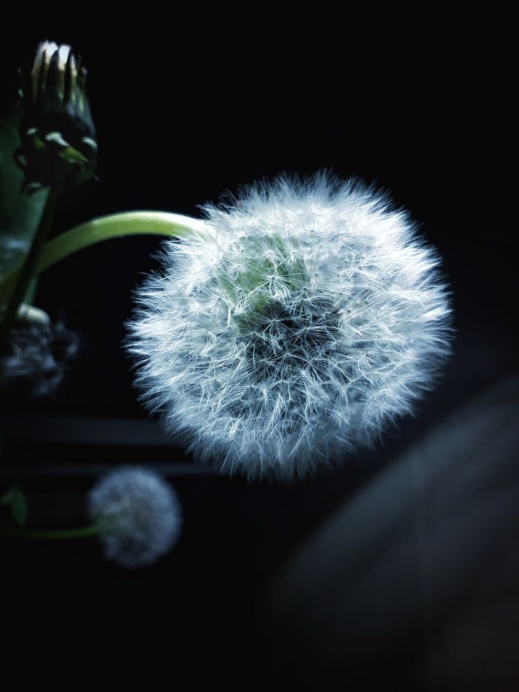 Photograph by Людмила Назарова