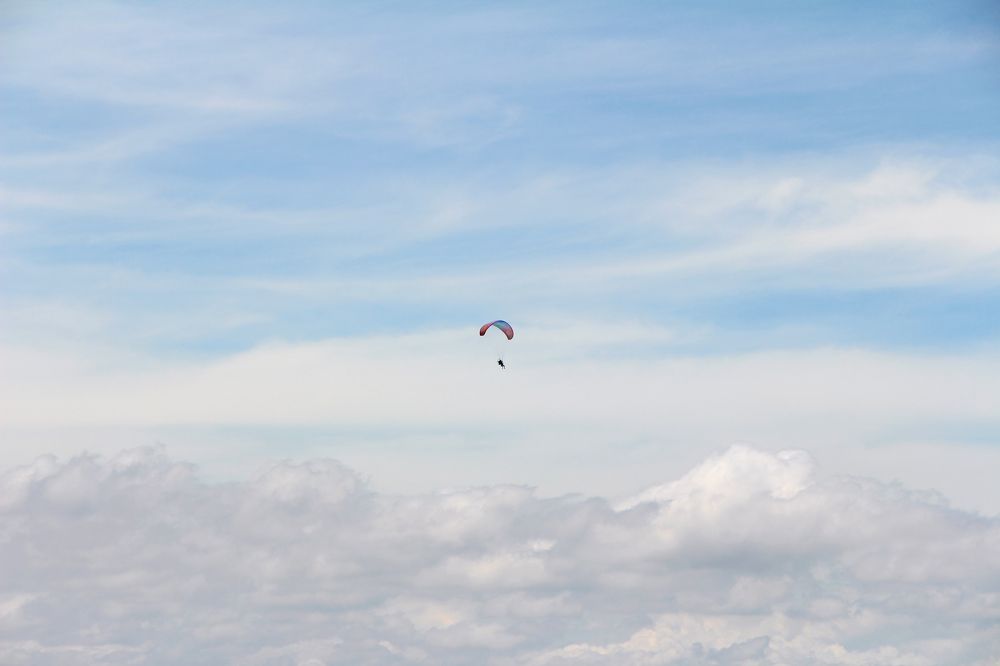 Photograph by Tatiana Barthem