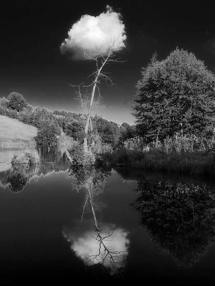 Photograph by Владислав Никишин