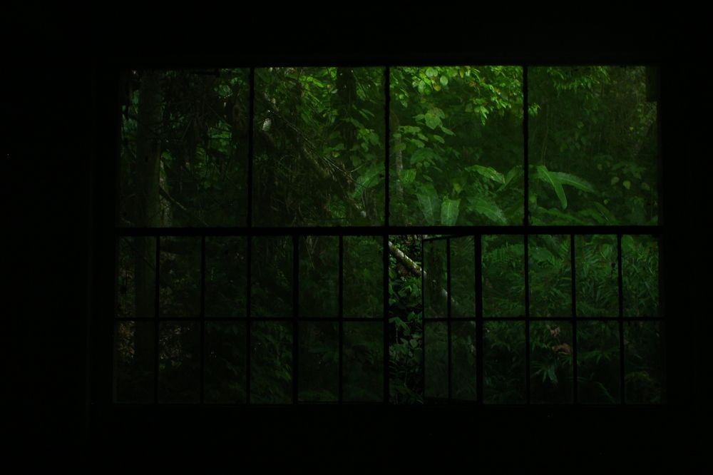 Photograph by Felix Jose Cafarelli