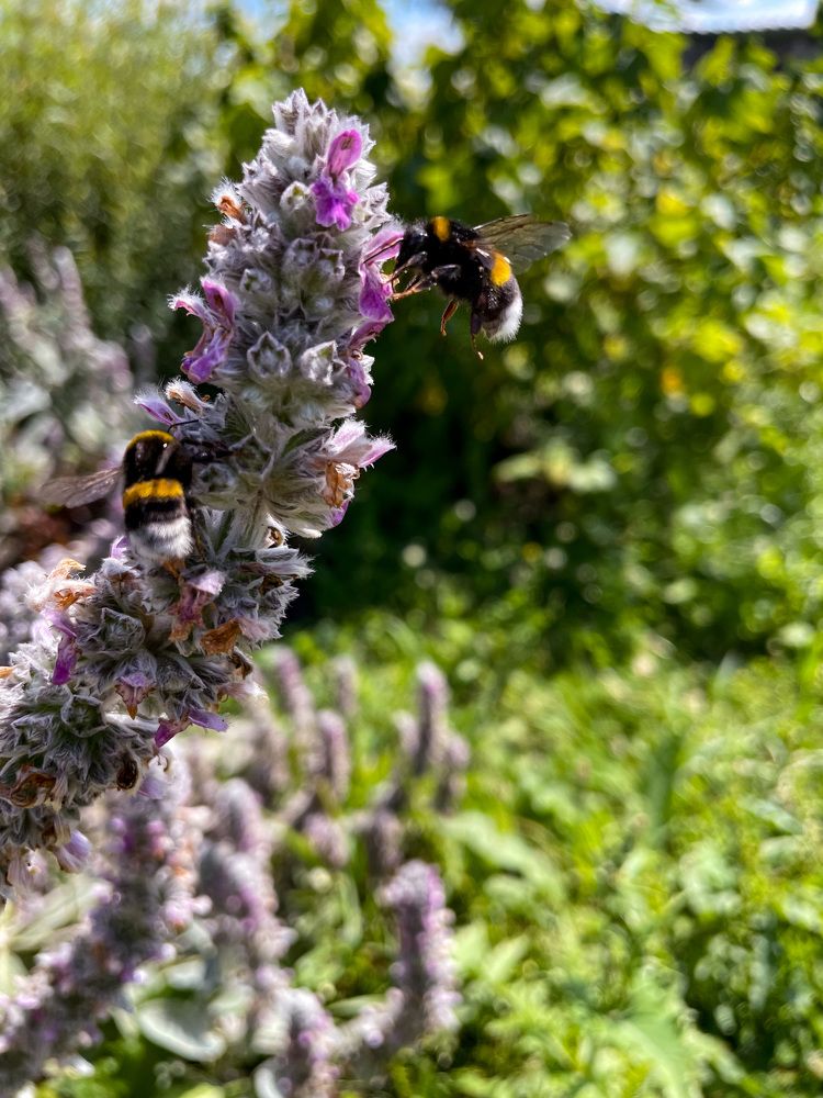 Photograph by Лия Маликова