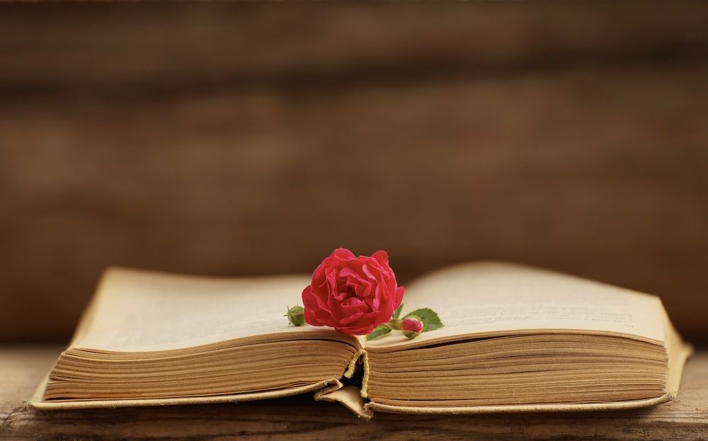 Photograph by Марина Аникина