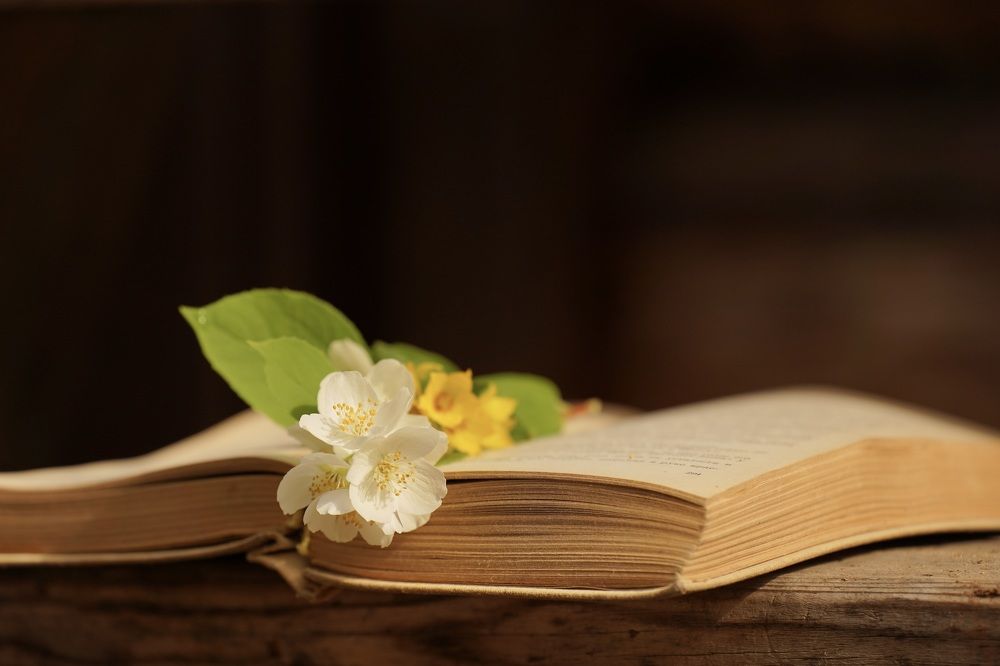 Photograph by Марина Аникина