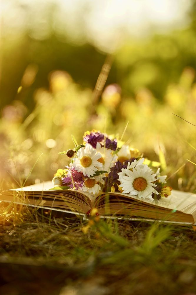 Photograph by Марина Аникина