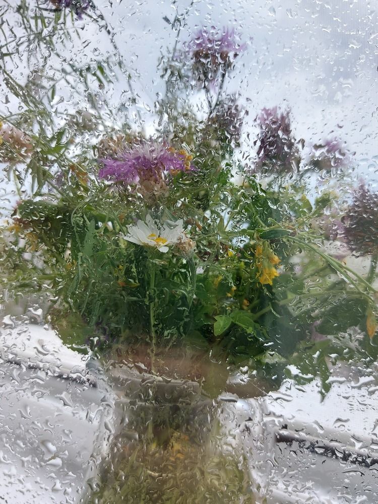 Photograph by Татьяна Бородина