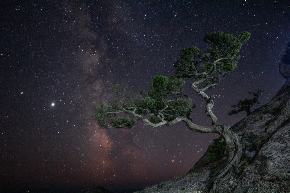 Photograph by Ирина Крепак