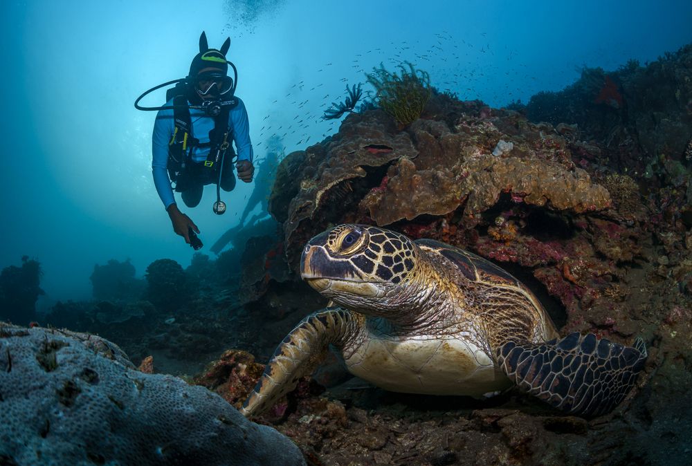 Photograph by Савин Андрей