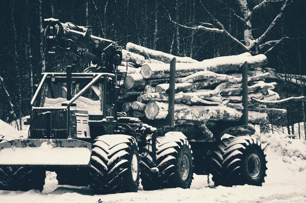 Photograph by Кира Орлова