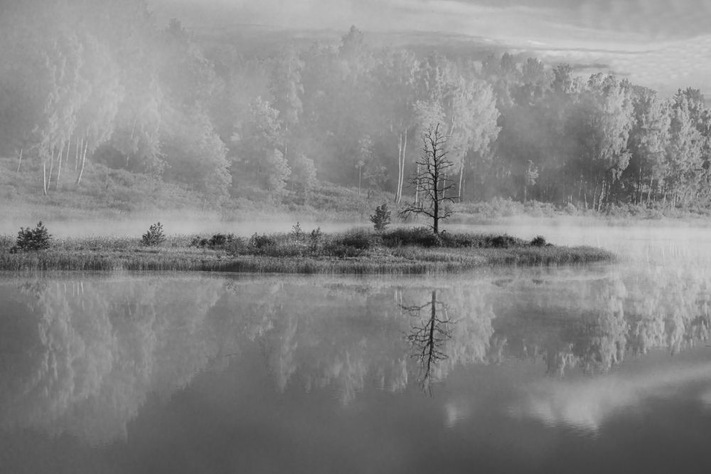 Photograph by Valdis Serzhans