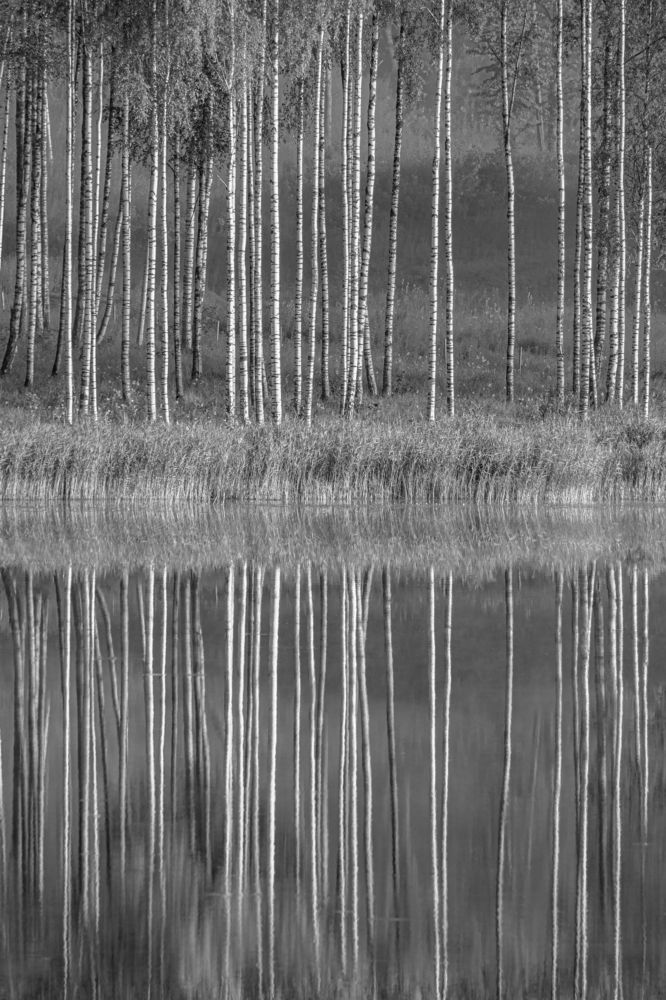 Photograph by Valdis Serzhans