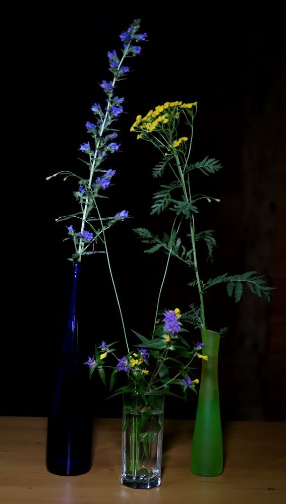 Photograph by Елена Тимченко