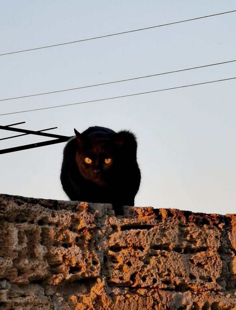 Фотография автора Rafa