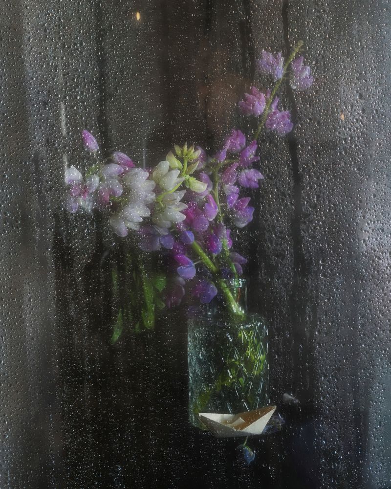 Photograph by Людмила ЧЕРНИКОВА