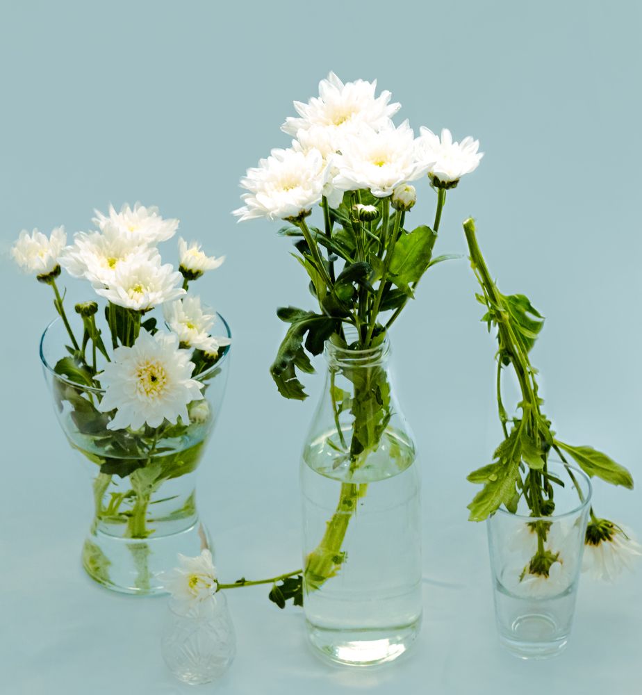 Photograph by Виктория Янушанис