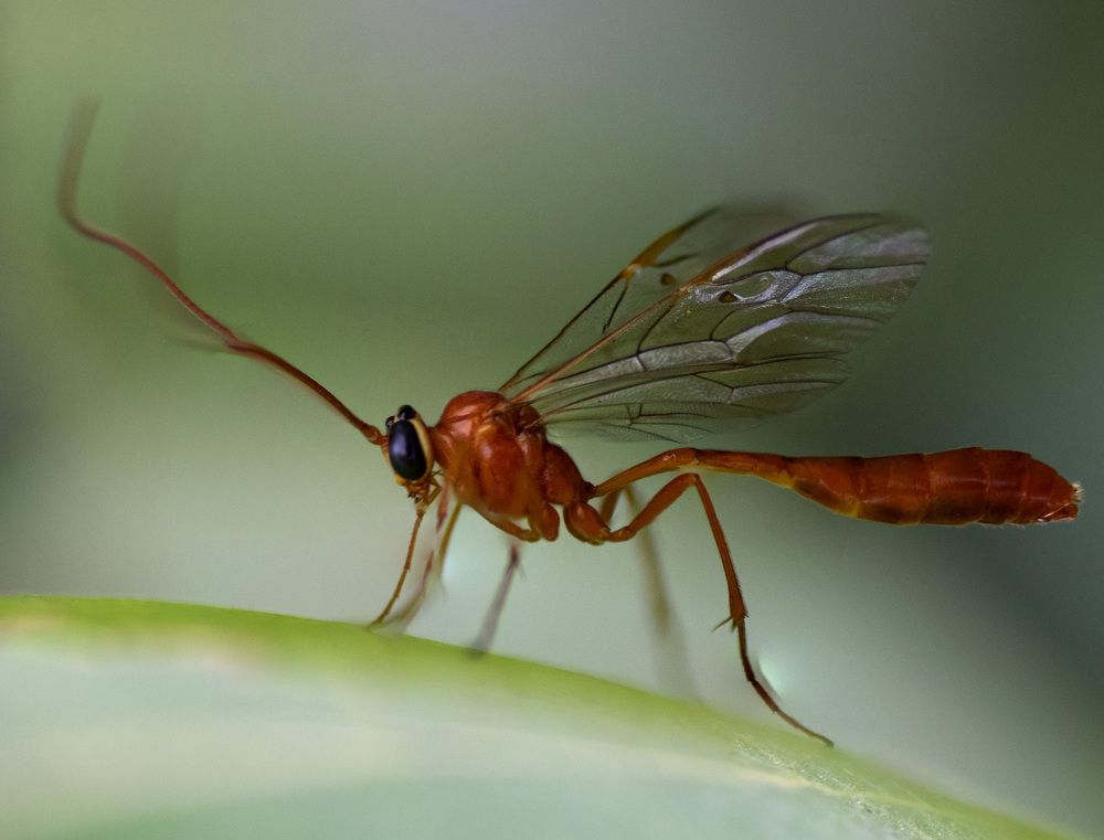 Photograph by Эльвира Быкова