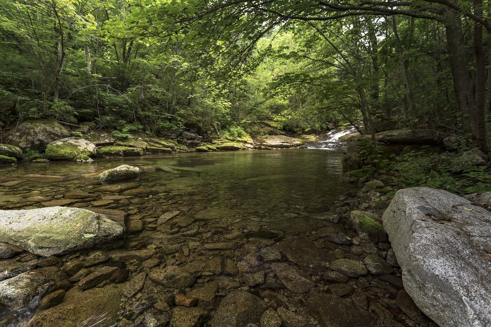 Photograph by ALEKSANDR KUZNETSOV