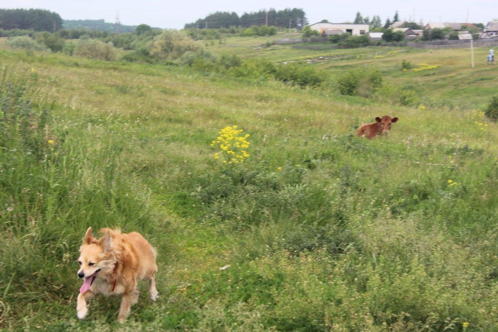 Photograph by Нина Гирнык