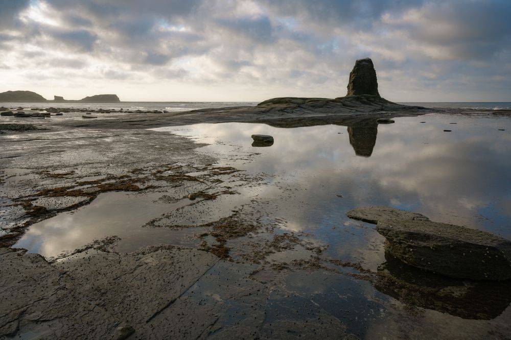 Photograph by Andy Fowlie