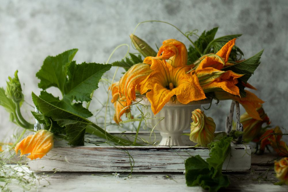 Тыквенно-кабачковый