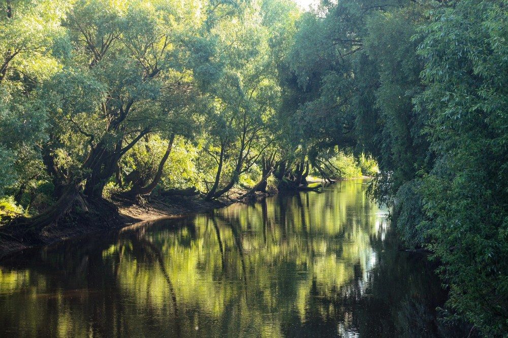 Photograph by Надежда