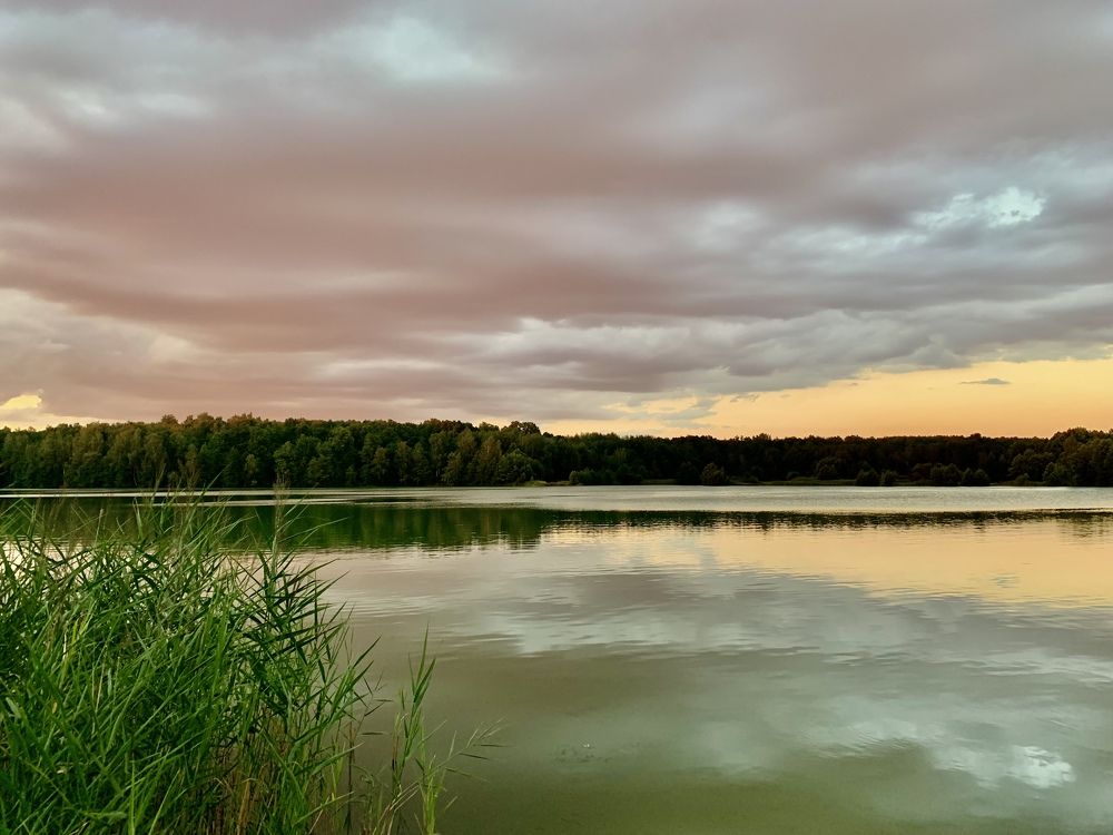 Photograph by Elena Lukashina