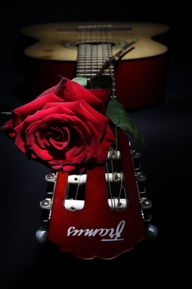 Photograph by Роман Белый