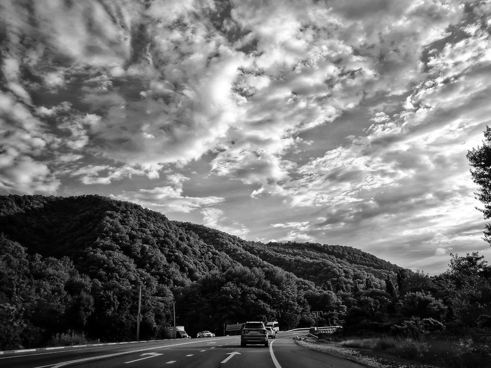 Фотография автора Алла Шикина