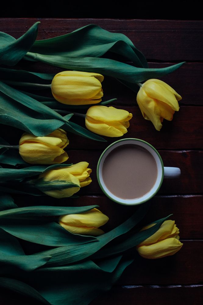 Photograph by Юлия Белозёрова