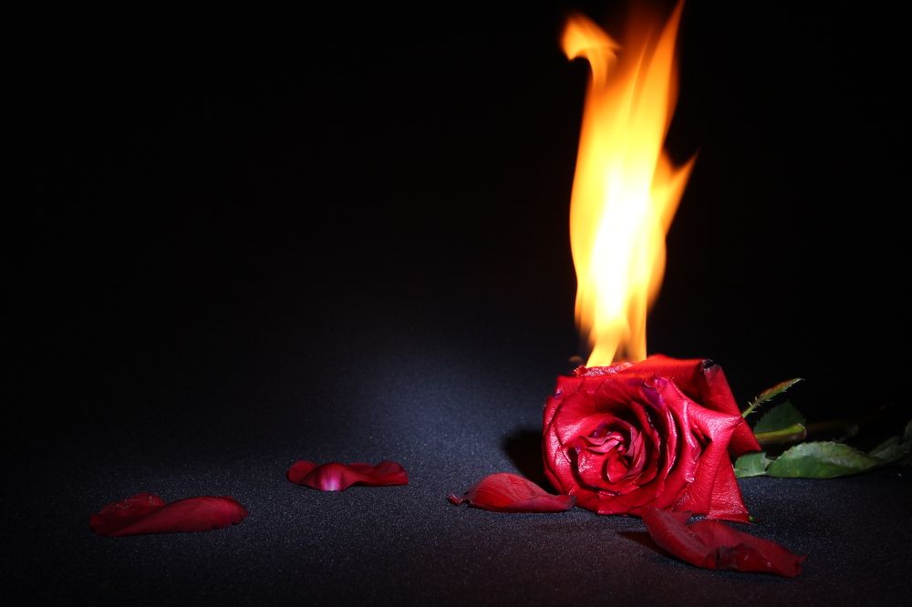 Photograph by Роман Белый