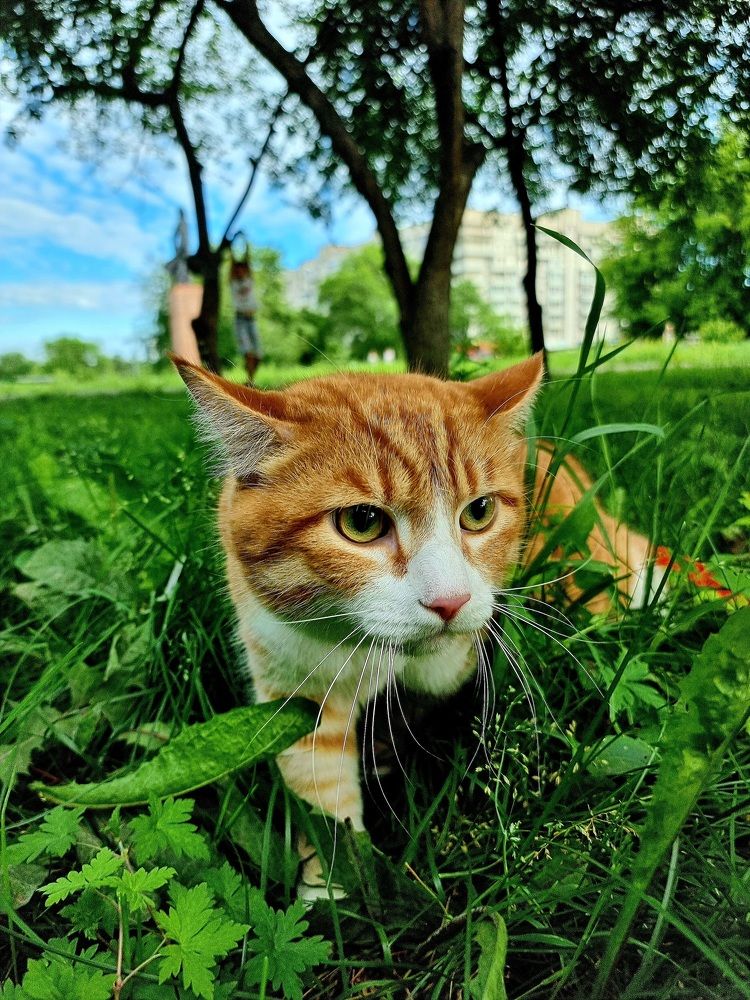 Photograph by Василий