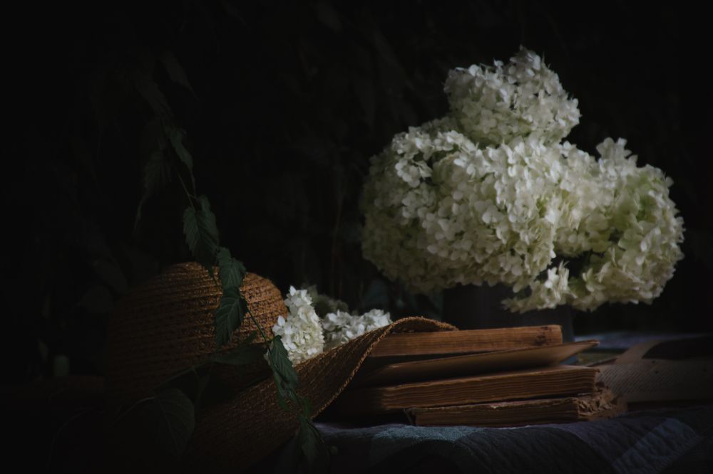 Фотография автора OXANA MARSOVA