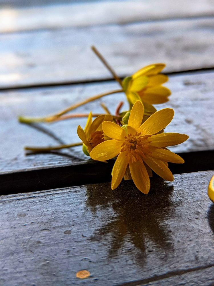 Photograph by Ксения Котова