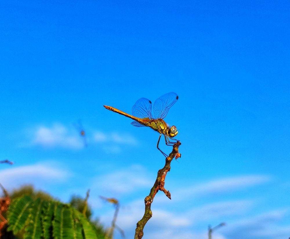 Photograph by Андрей