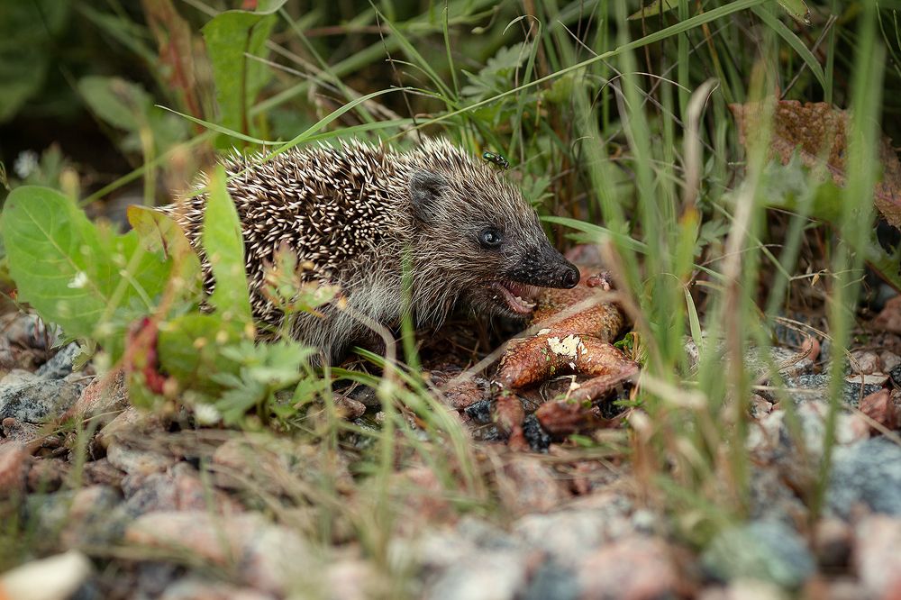 Photograph by Чистякова Валерия