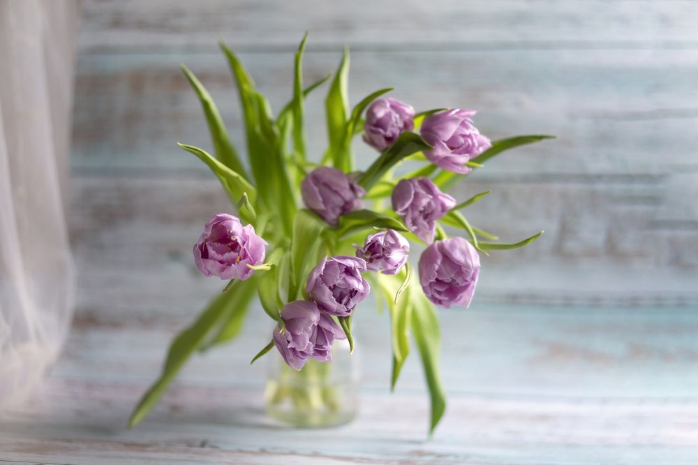 Тюльпаны для любимой