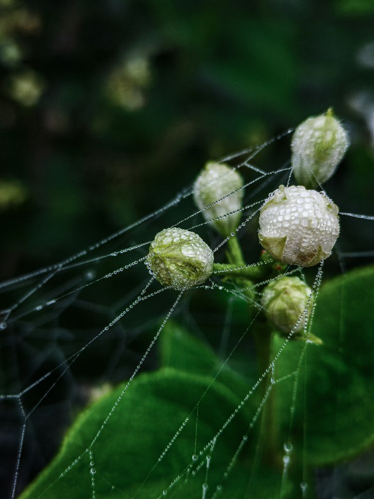 Photograph by Алёна Красова