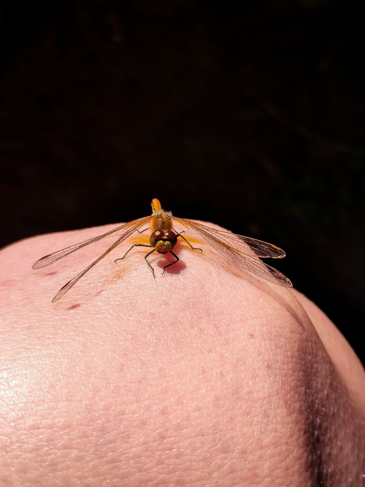 Photograph by Алёна Красова