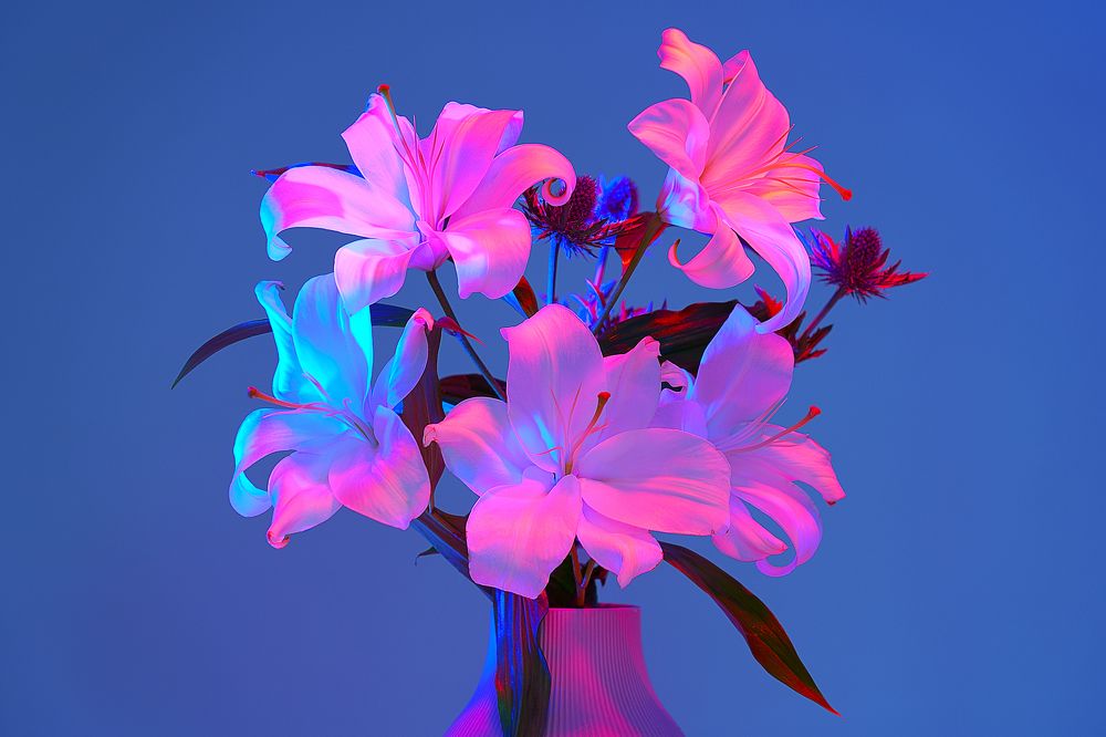 Белые лилии снятые в цветном свете