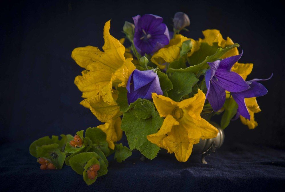 Photograph by Tatiana Troitskaya