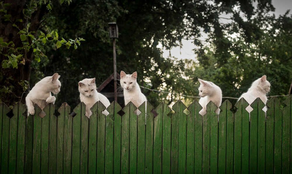 Photograph by Sergej