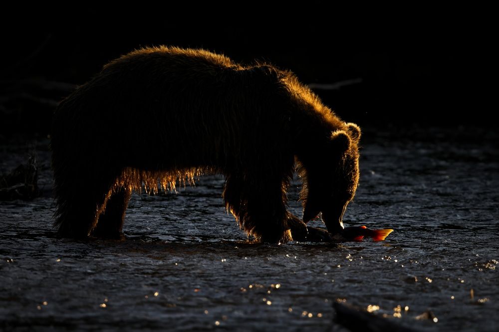 Есть или не есть?