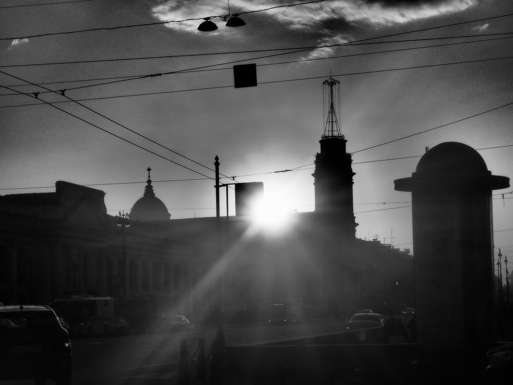 Photo #7865849