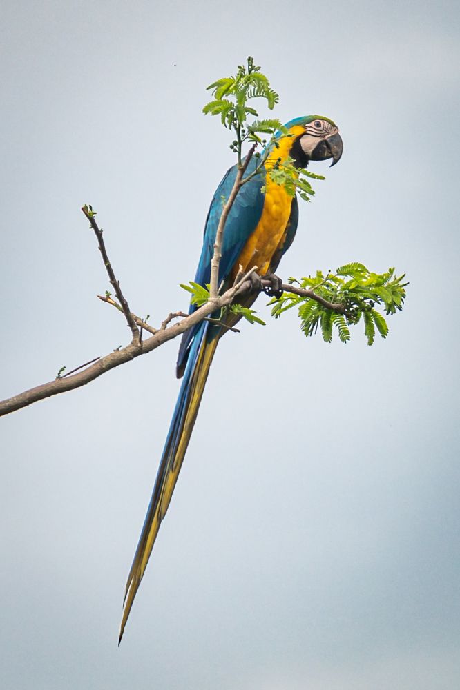 Photograph by Fabio Aristizábal