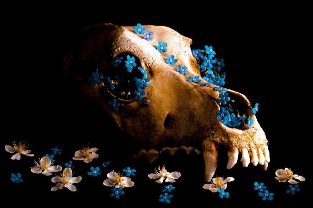 Photograph by Чурин Роман