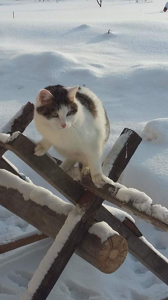 Photograph by Elena Goreva