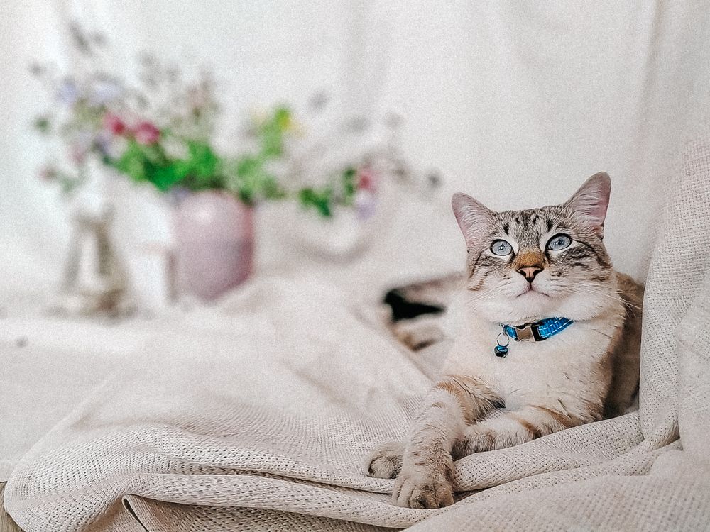 Photograph by Наталья Сенотрусова