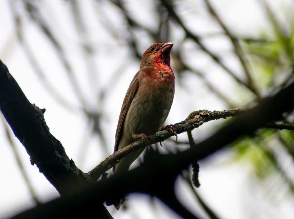 Фотография автора Савельев Алексей