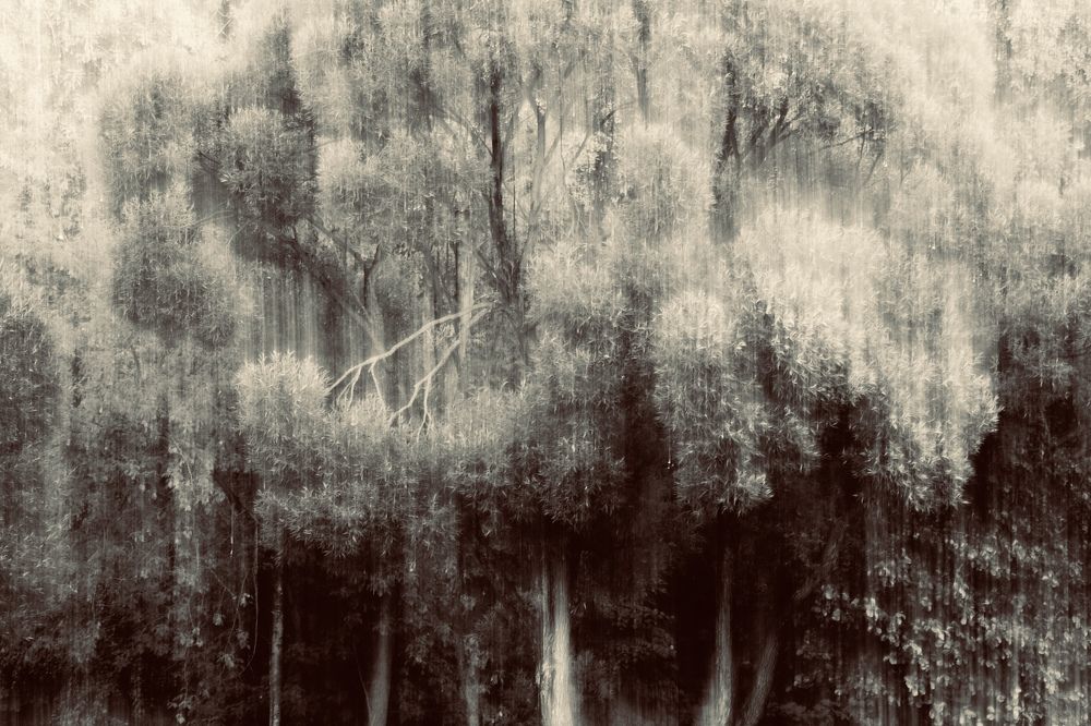 Photograph by Сергей Коршунов